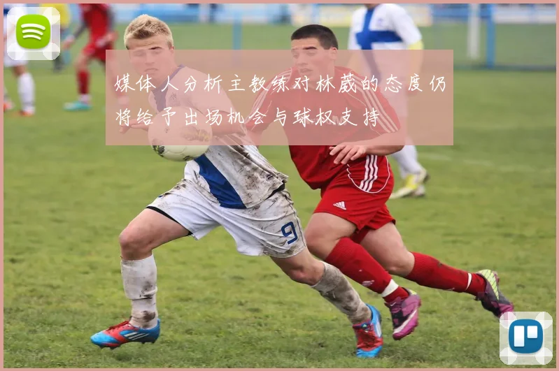 媒体人分析主教练对林葳的态度仍将给予出场机会与球权支持