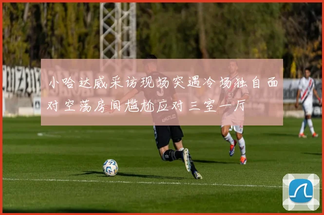 小哈达威采访现场突遇冷场独自面对空荡房间尴尬应对三室一厅