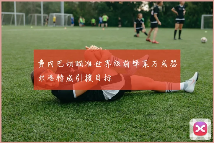 费内巴切瞄准世界级前锋莱万或瑟尔洛特成引援目标